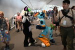 DSC_8588.JPG